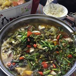 飘香酸菜鱼