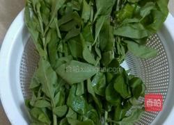 枸杞叶瘦肉汤的做法图解1