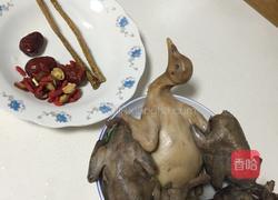 斑鸠乳鸽汤的做法图解2