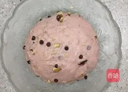 Whole wheat walnut chocolate jam bread recipe 3