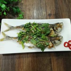 香煎巴浪鱼（电饼铛）的做法[图]