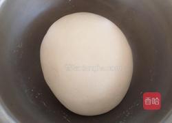 羊肉西葫芦蒸饺的做法图解4