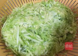 羊肉西葫芦蒸饺的做法图解5