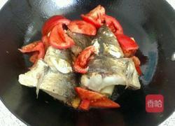 番茄鱼头汤的做法图解2