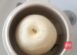 洛神雪梨的做法图解5