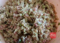 火龙果皮饺子的做法图解1