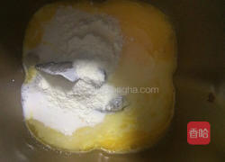 豆沙小餐包的做法图解3