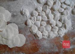 韭菜猪肉水饺的做法图解4