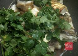 鱼煮豆腐的做法图解3