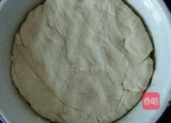 嘟嘟鲜肉饼?的做法图解1