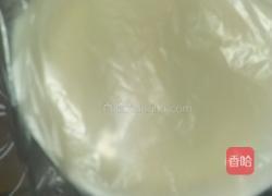 牛奶味冰淇淋的做法图解6