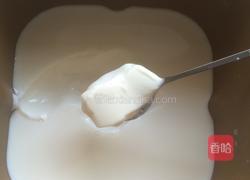 面包机自制酸奶的做法图解5