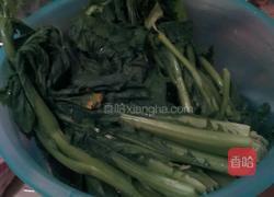 酸菜的做法图解4