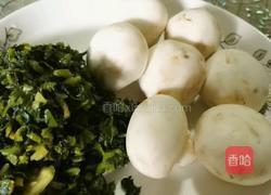 倒笃菜肉片炒平菇的做法图解1