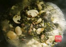 倒笃菜肉片炒平菇的做法图解6
