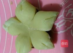 梅花酥的做法圖解15