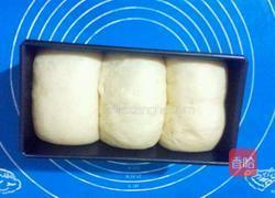 中种北海道奶油吐司的做法图解12
