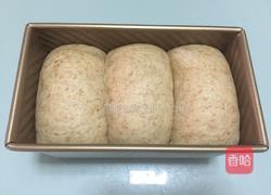 全麦土司的做法图解13