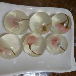 樱花水信玄饼（第一次发教程，有不足之处望多多指教！）的做法[图]