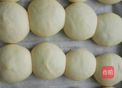 葡萄干小面包的做法图解12