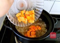 木瓜雪梨银耳汤的做法图解7