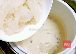 杏汁燉燕窩桃膠的做法图解8