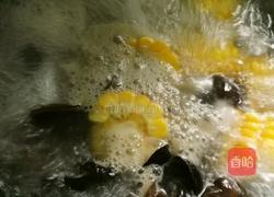 玉米子排汤的做法图解6