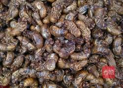 酥炸金蝉子的做法图解1