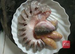 学做孔雀开屏的做法图解3