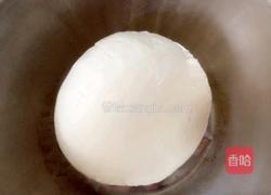 发面饼的做法图解2