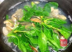 花蛤菠菜汤的做法图解4