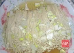 油泼金针菇的做法图解5