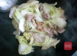 木耳炒白菜片的做法图解2