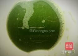 芹菜汁蝴蝶面的做法图解3