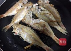 酱煎红杉鱼的做法图解5