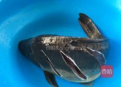 酱焖鲤鱼的做法图解2