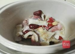 新西兰花胶炖鸡汤的做法图解8