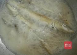 煎焖沙丁鱼的做法图解5