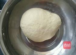 荠菜鲜虾水饺的做法图解1