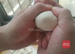 荠菜鲜虾水饺的做法图解13