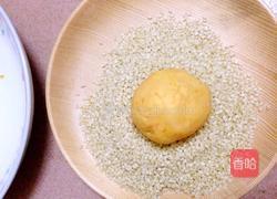 香芒红薯芝麻球的做法图解8