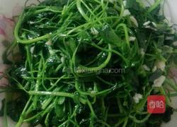 清炒苜蓿的做法图解3