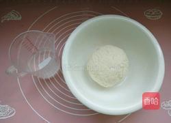 西葫芦锅贴的做法图解7