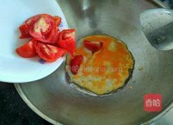 番茄肉蛋面的做法图解7