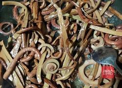 炒蕨菜的做法图解5