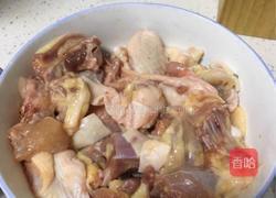 红烧蛇鸡煲的做法图解2