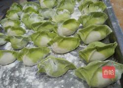 彩色荠菜水饺的做法图解6