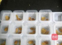 草莓葡萄干布丁的做法图解3