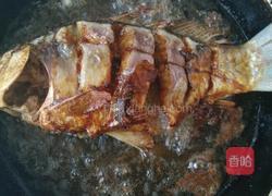 酒酿鲫鱼的做法图解4