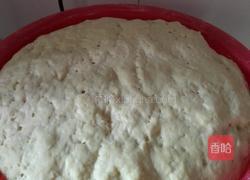 萝卜粉丝包子的做法图解7